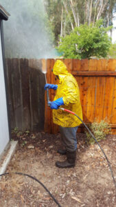 cleaning wood fence