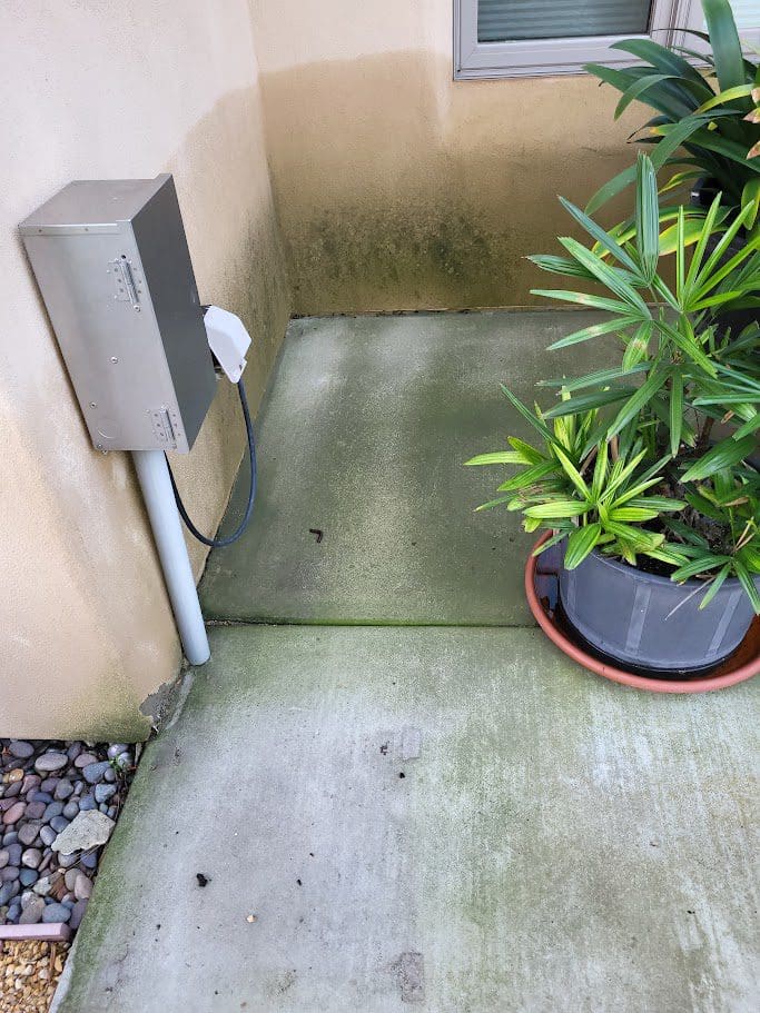 A corner with an electrical box and a potted plant on a concrete surface.